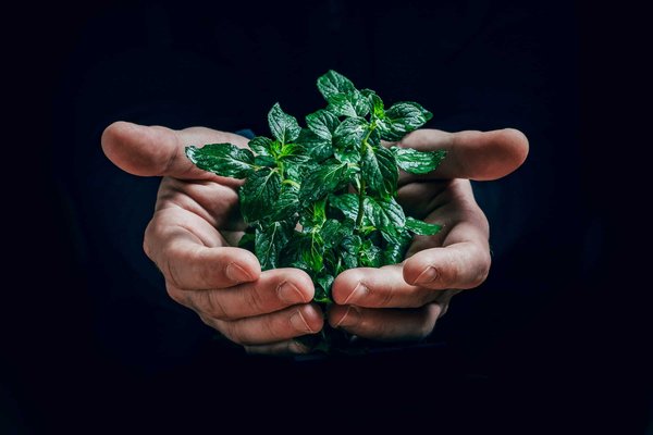 L'empreinte écologique du numérique : Ce que vous devez savoir