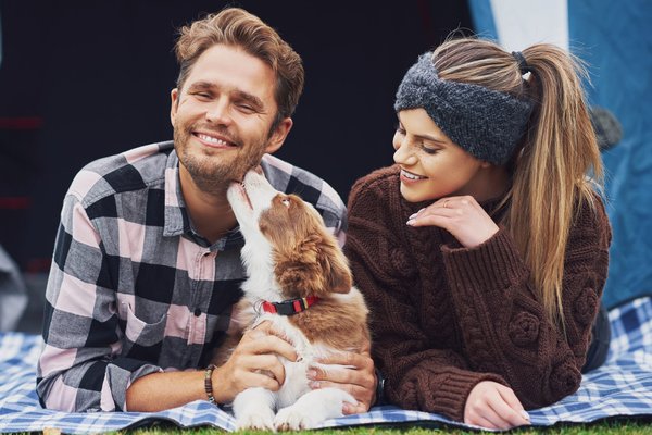 Peut-on camper avec des animaux en bord de mer à Bretignolles-sur-Mer ?